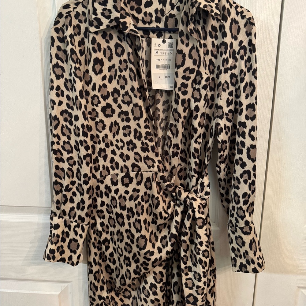 Zara Animal Print Dress